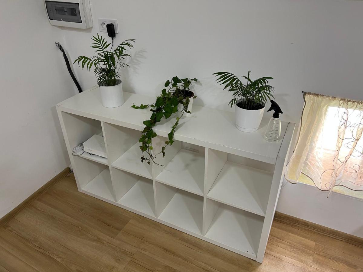 Green Apartment - Free Parking Катовице Экстерьер фото